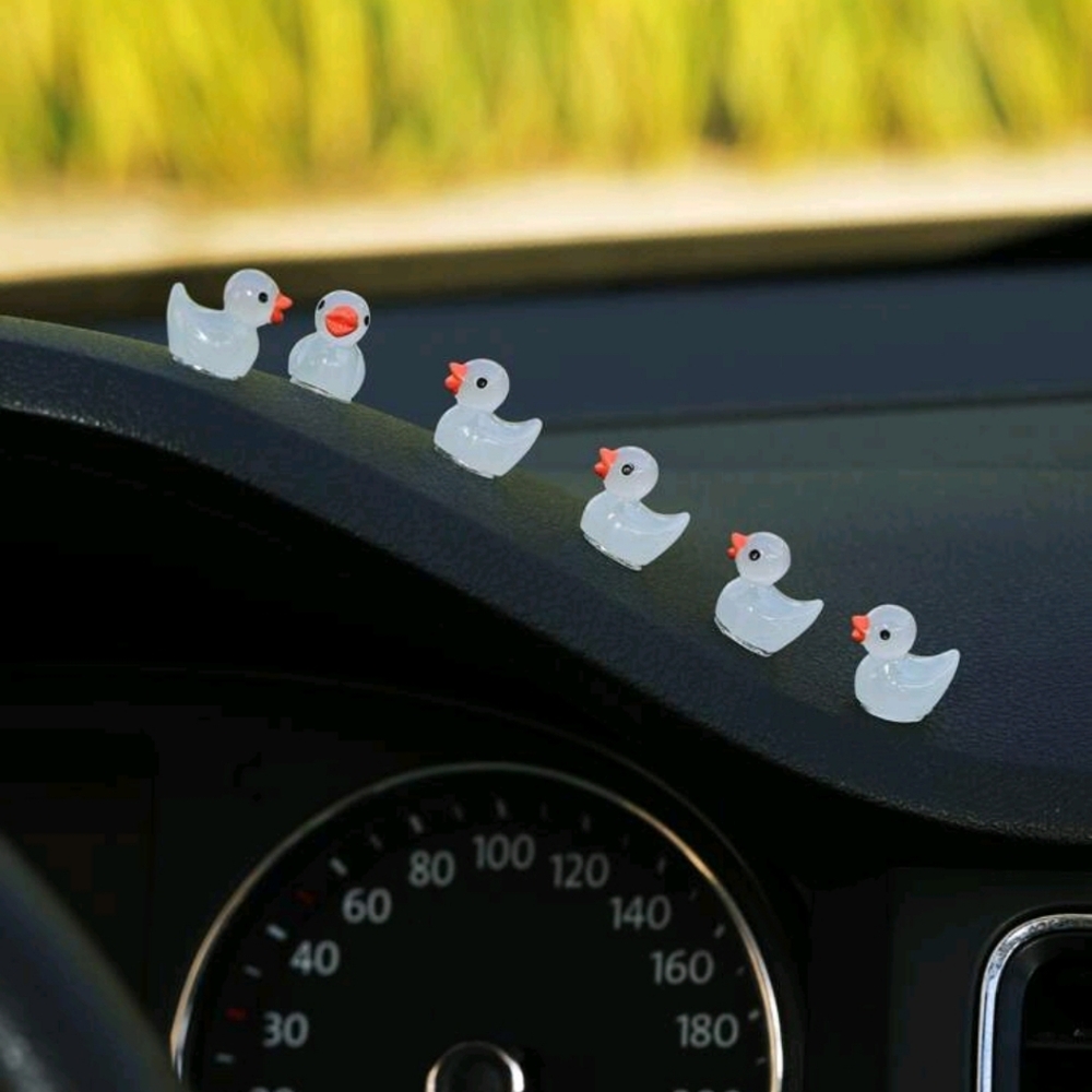 Cute car decor